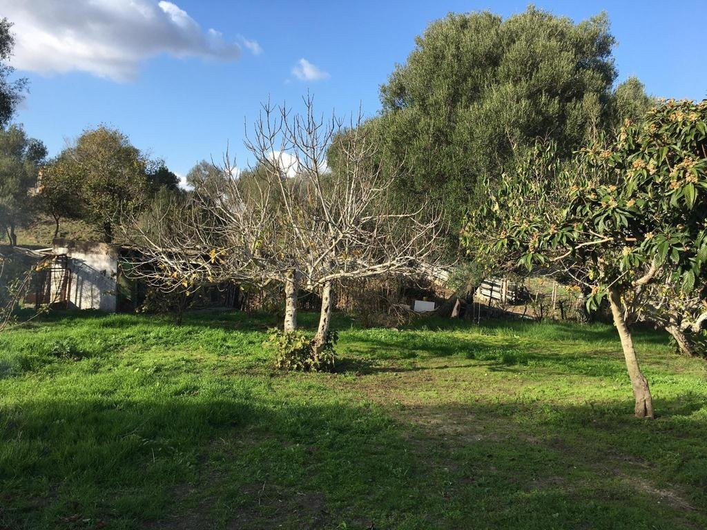 BONITA CASA DE CAMPO (PARCELA RÚSTICA) CERCANA A VEJER DE LA - foto 2