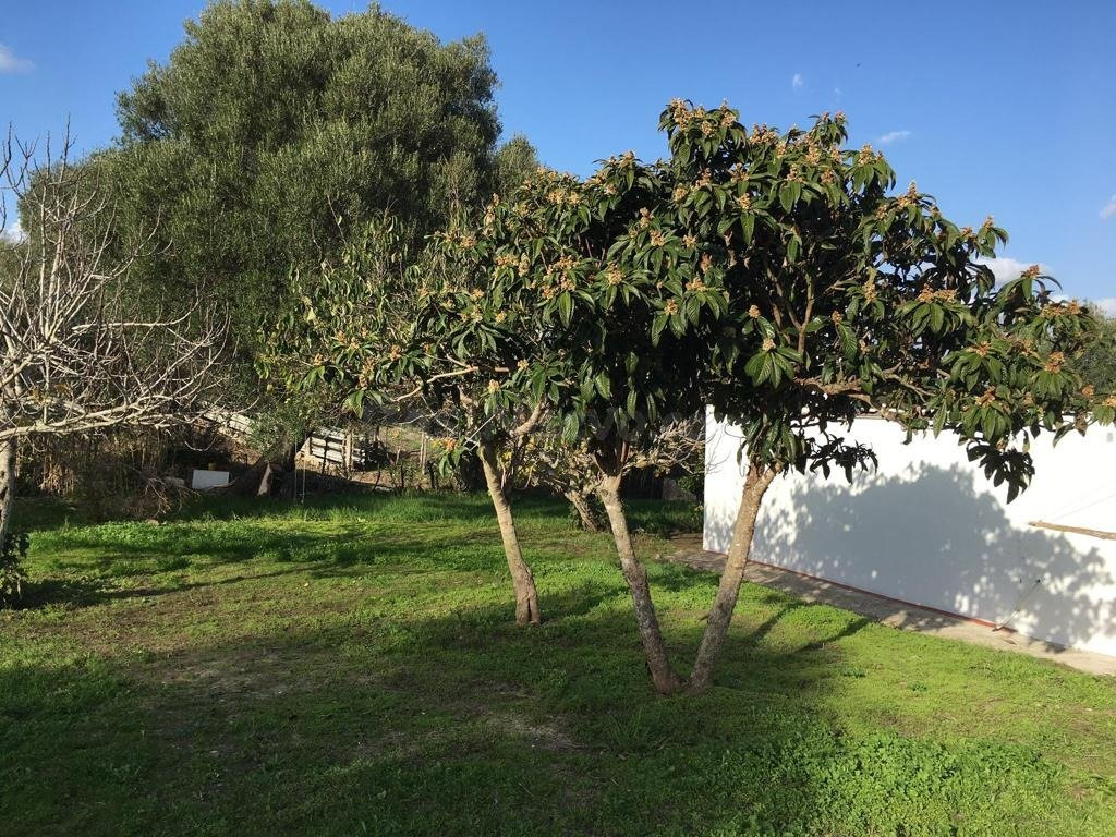 BONITA CASA DE CAMPO (PARCELA RÚSTICA) CERCANA A VEJER DE LA - foto 4