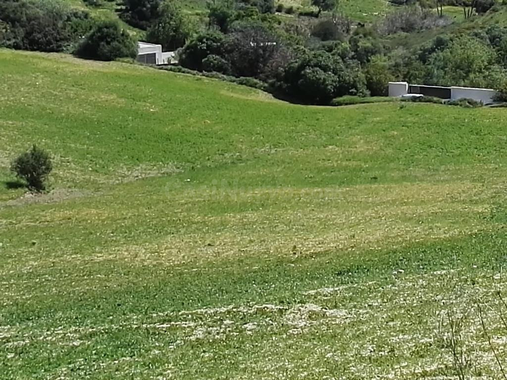 CASA CON TERRENO(RÚSTICO) EN VEJER DE LA FRONTERA - foto 5