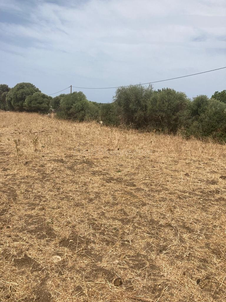 TERRENO RUSTICO EN BARBATE - foto 4