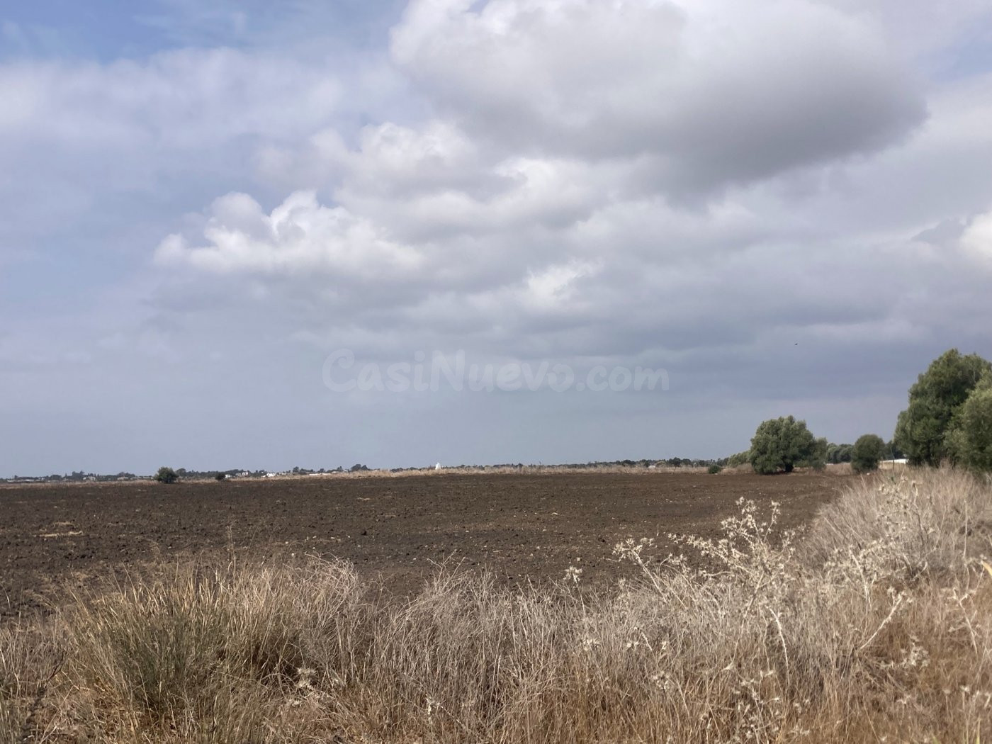 PARCELA RÚSTICA EN LA CARRETERA VEJER- EL PALMAR