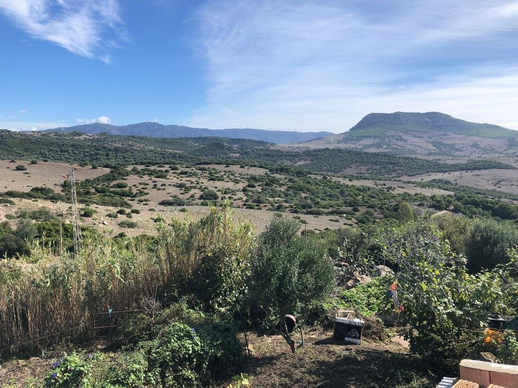PARCELA CERCA DE TARIFA - foto 5