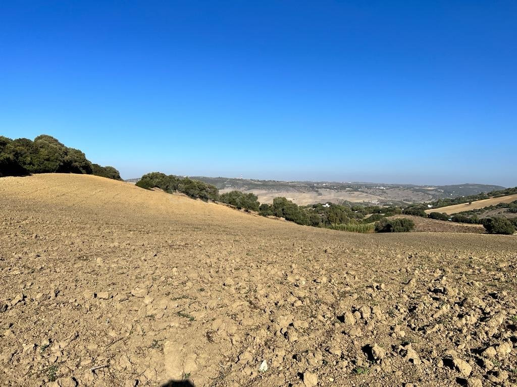 ESTUPENDA PARCELA RUSTICA EN VEJER DE LA FRONTERA