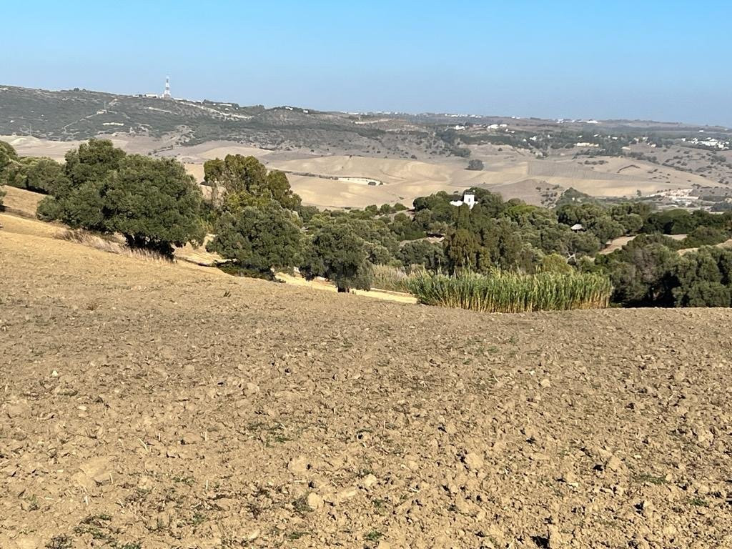ESTUPENDA PARCELA RUSTICA EN VEJER DE LA FRONTERA - foto 2