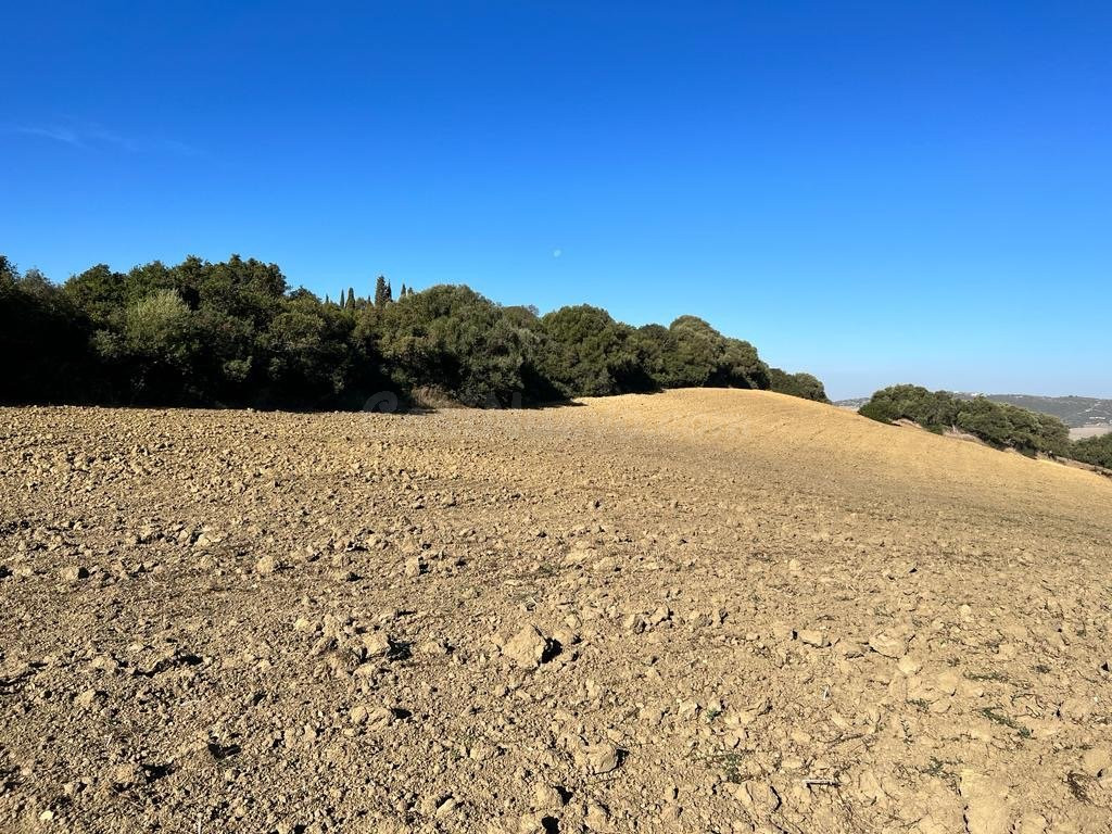 ESTUPENDA PARCELA RUSTICA EN VEJER DE LA FRONTERA - foto 3