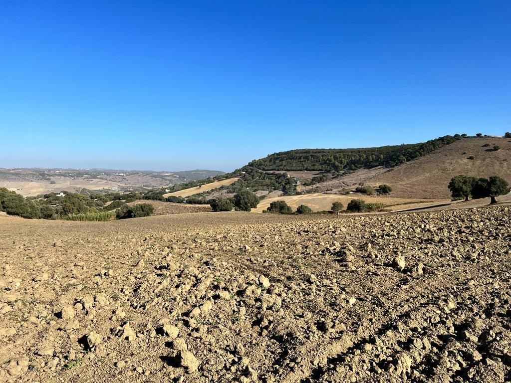 ESTUPENDA PARCELA RUSTICA EN VEJER DE LA FRONTERA - foto 4