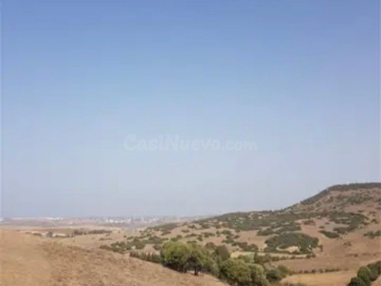 TERRENO EN VENTA EN PATRIA