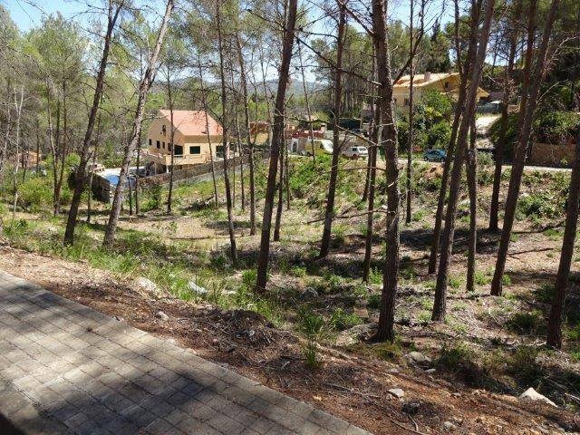 SE VENDE TERRENO URBANO EN OLIVELLA - foto 2