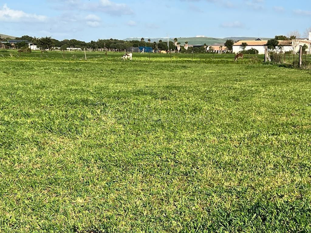 TERRENO EN VENTA EN EL PALMAR