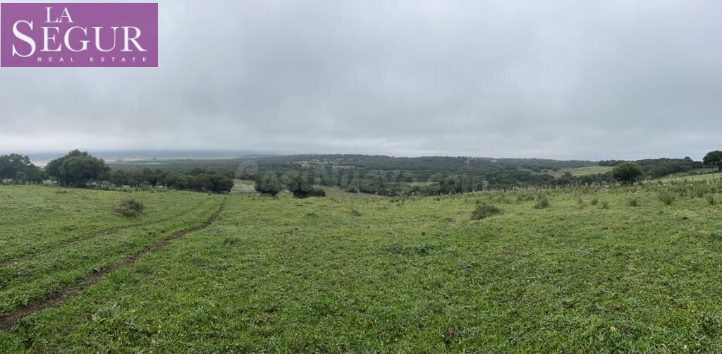 MAGNÍFICA FINCA EN MANZANETE (BARBATE)