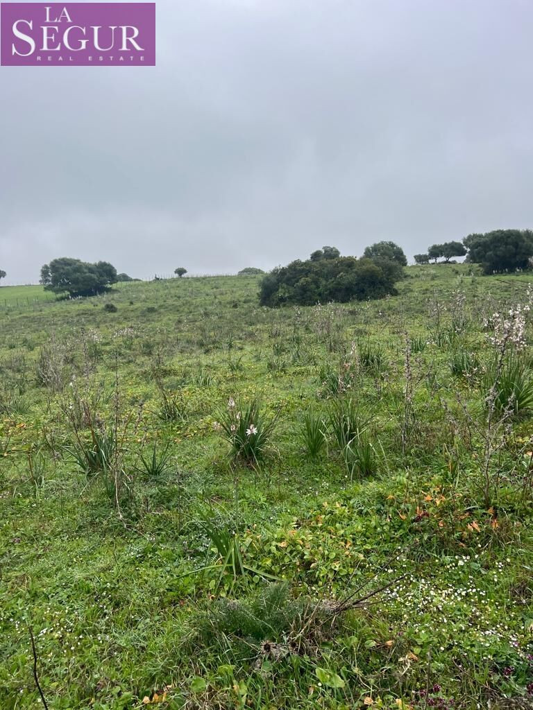 MAGNÍFICA FINCA EN MANZANETE (BARBATE) - foto 2