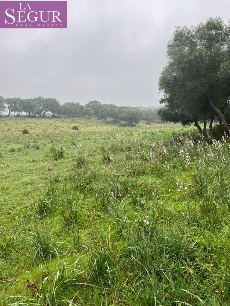MAGNÍFICA FINCA EN MANZANETE (BARBATE) - foto 3