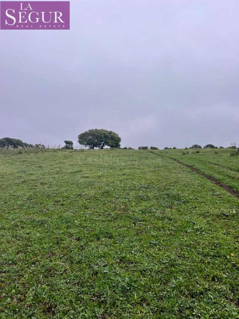 MAGNÍFICA FINCA EN MANZANETE (BARBATE) - foto 4