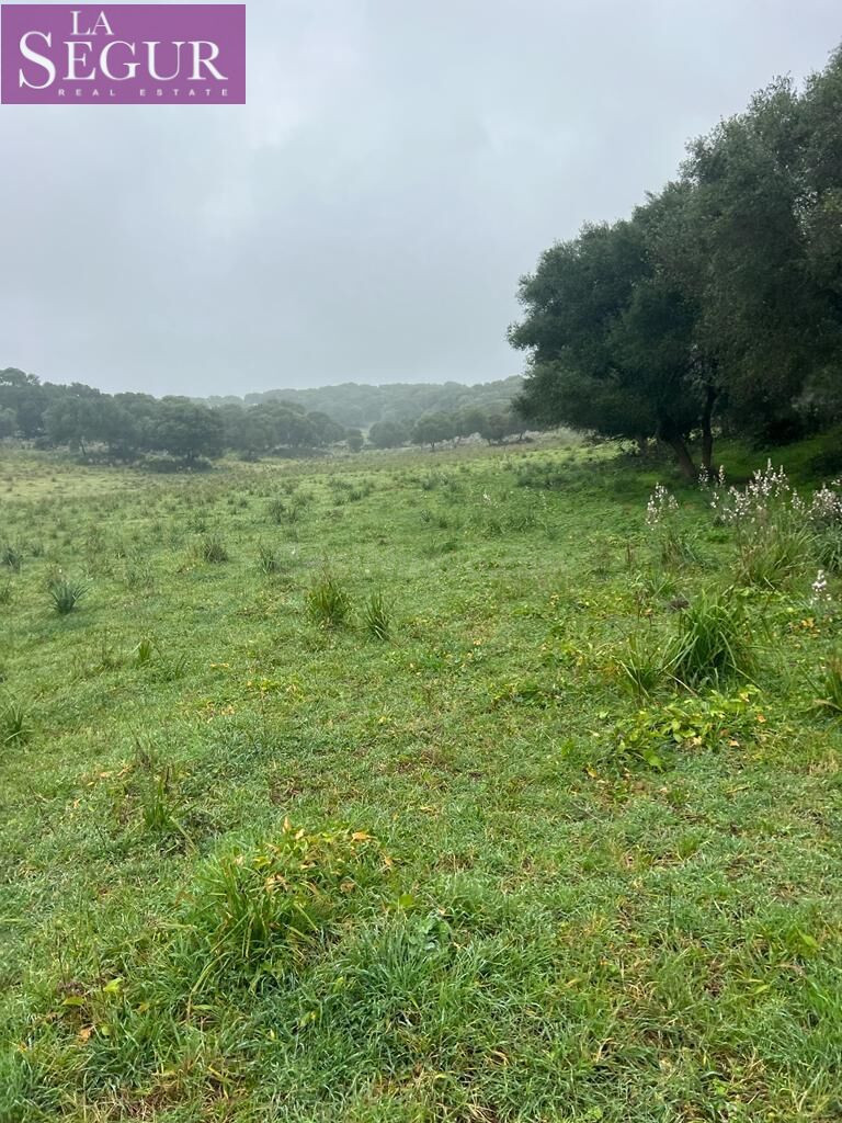 MAGNÍFICA FINCA EN MANZANETE (BARBATE) - foto 5