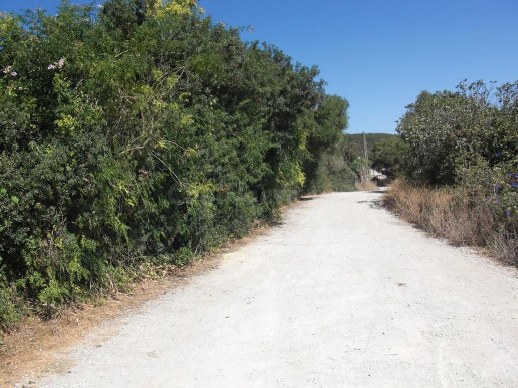 ESTUPENDA PARCELA RÚSTICA EN SANTA LUCÍA