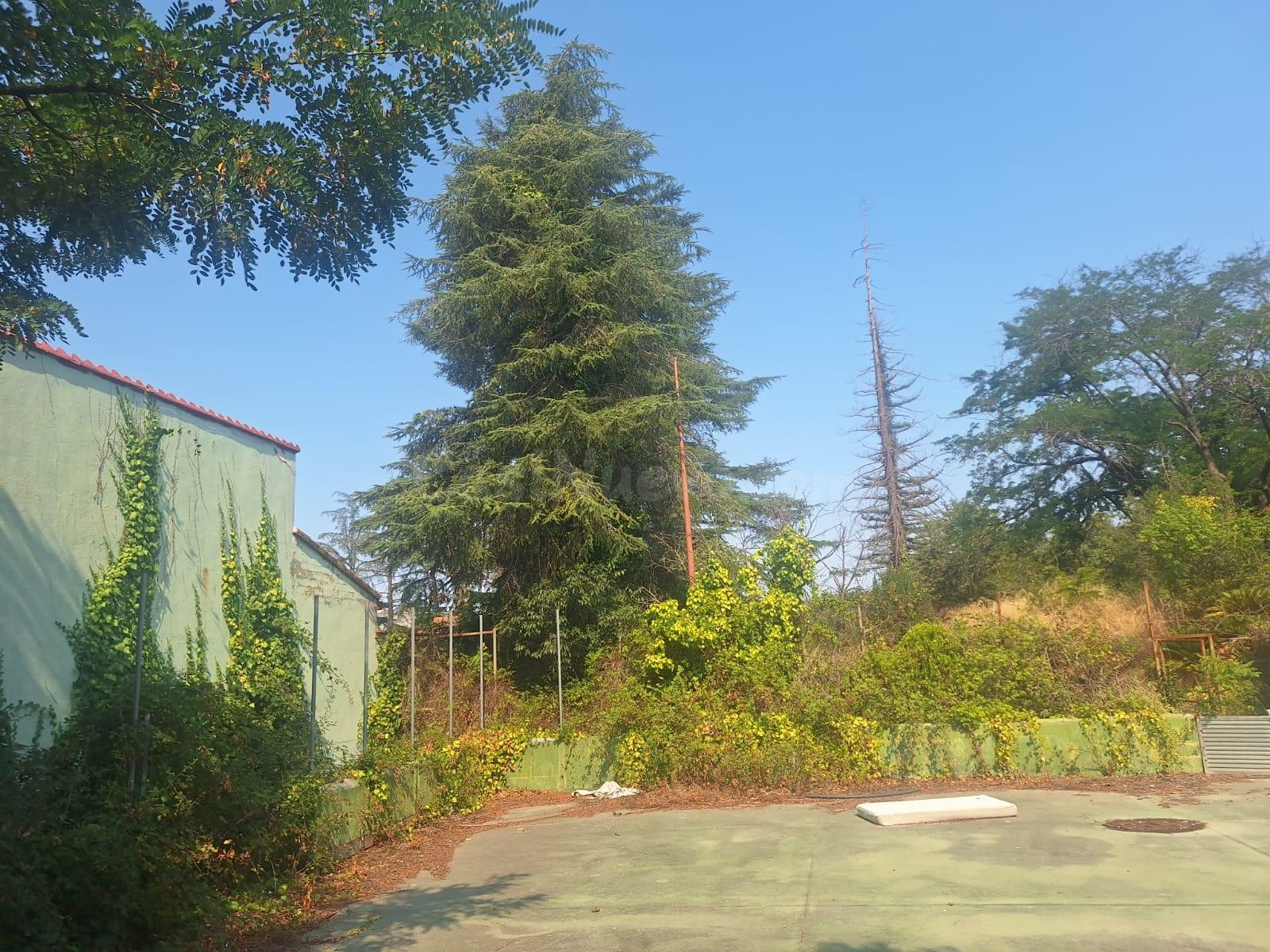 SE VENDE TERRENO URBANO EN PIERA - foto 2