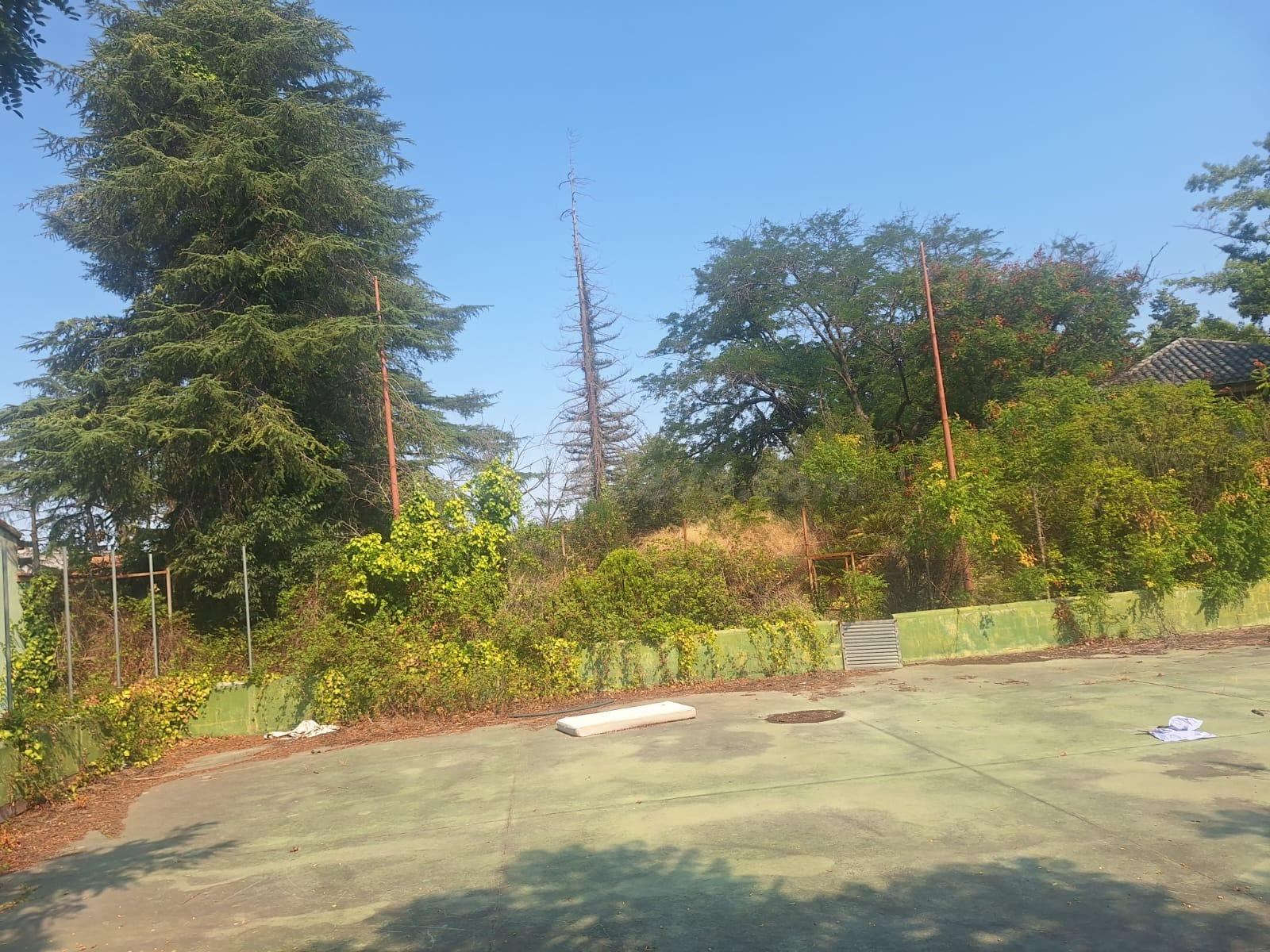 SE VENDE TERRENO URBANO EN PIERA - foto 4