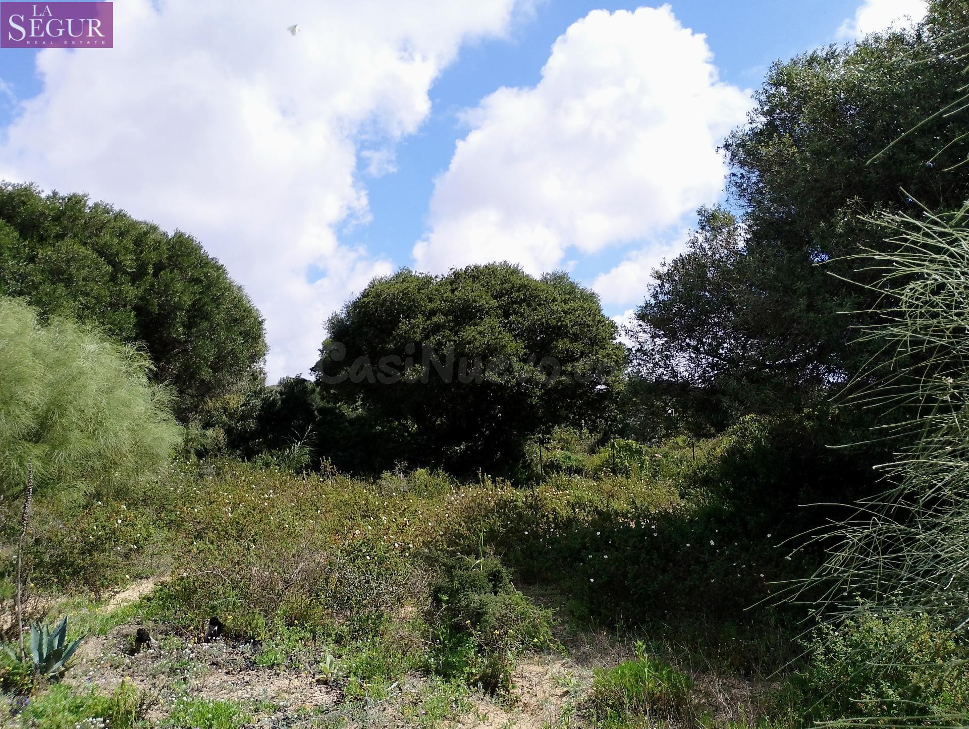 PARCELA EN VENTA EN ZAHORA