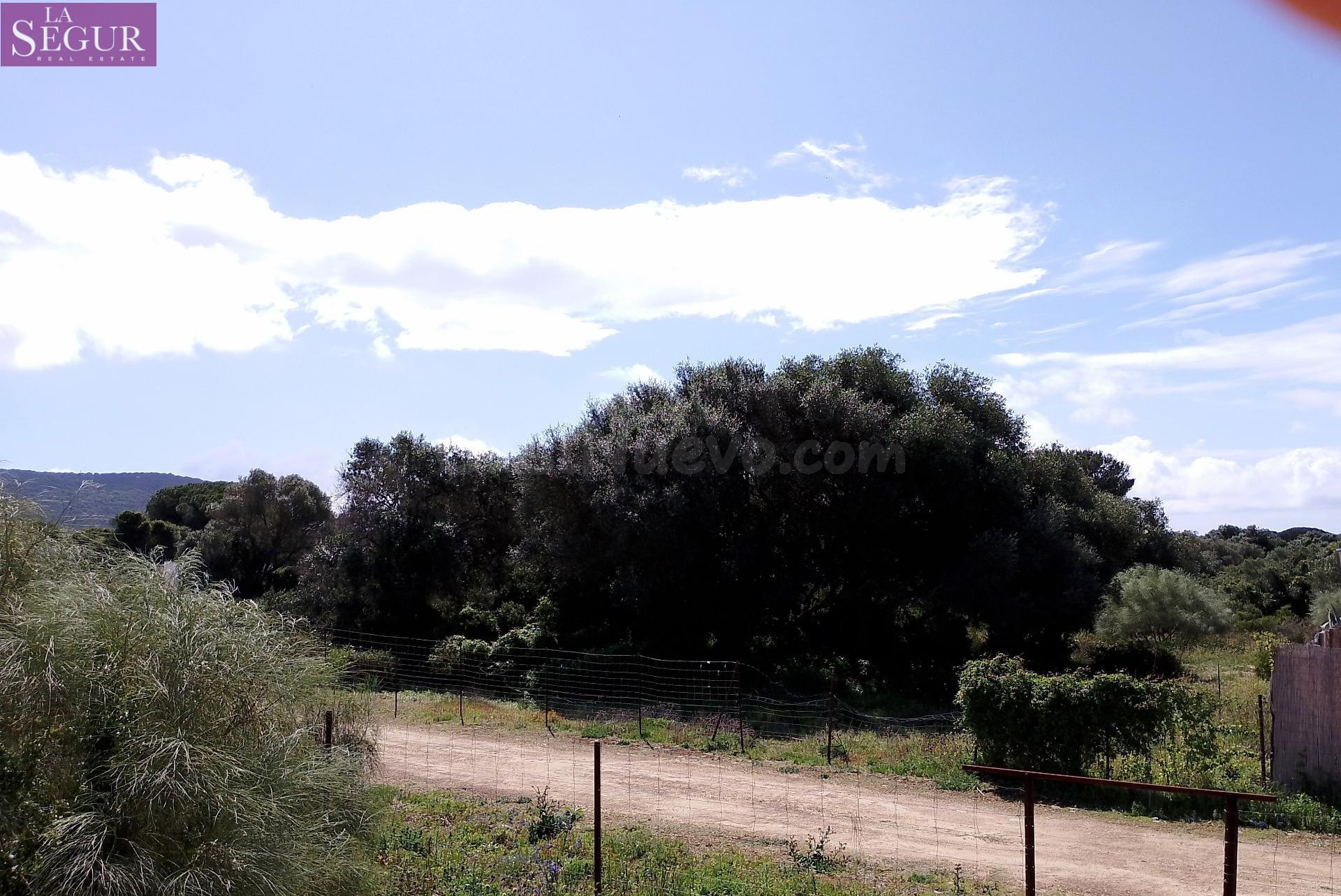 PARCELA EN VENTA EN ZAHORA - foto 2
