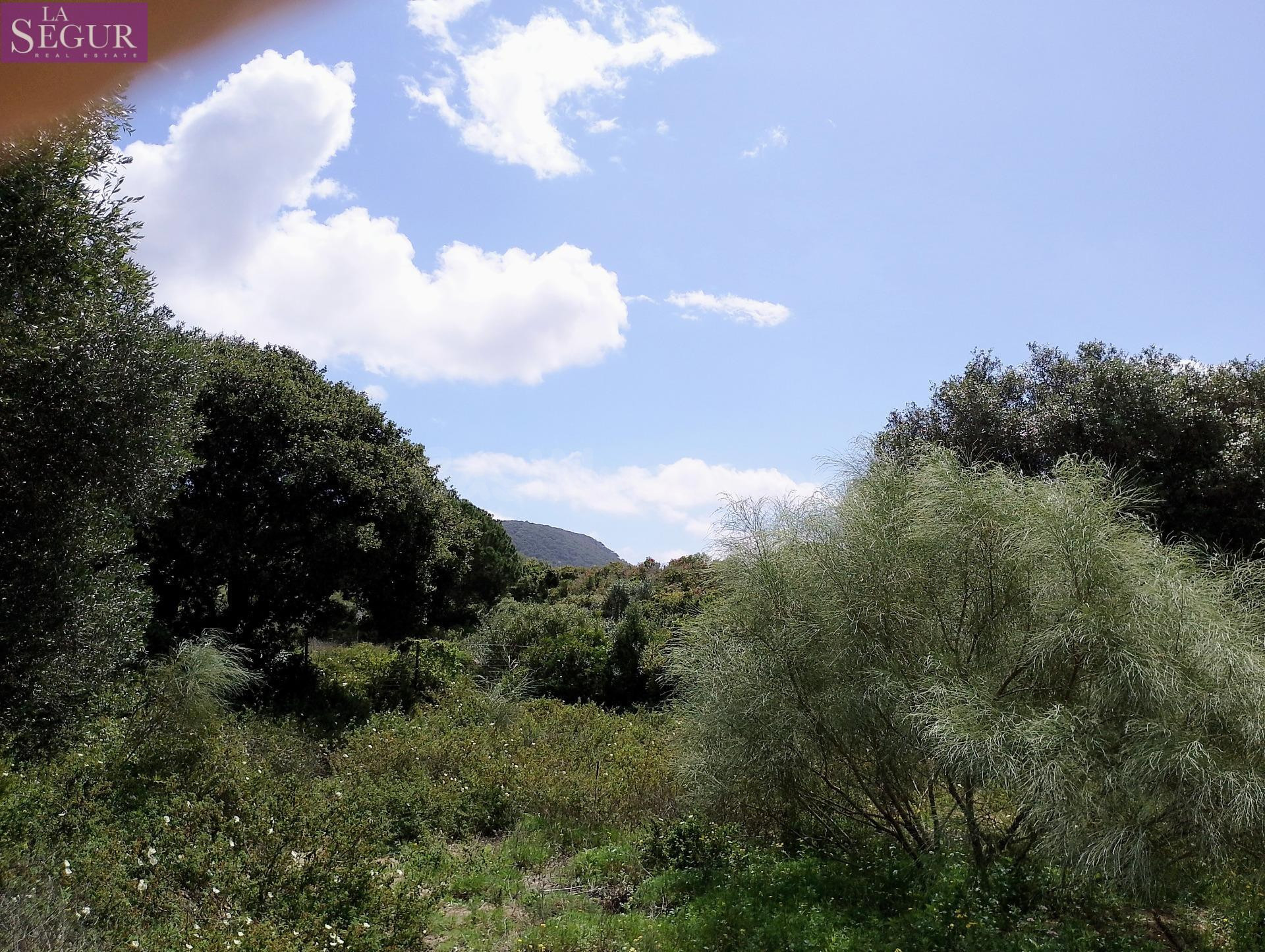 PARCELA EN VENTA EN ZAHORA - foto 3