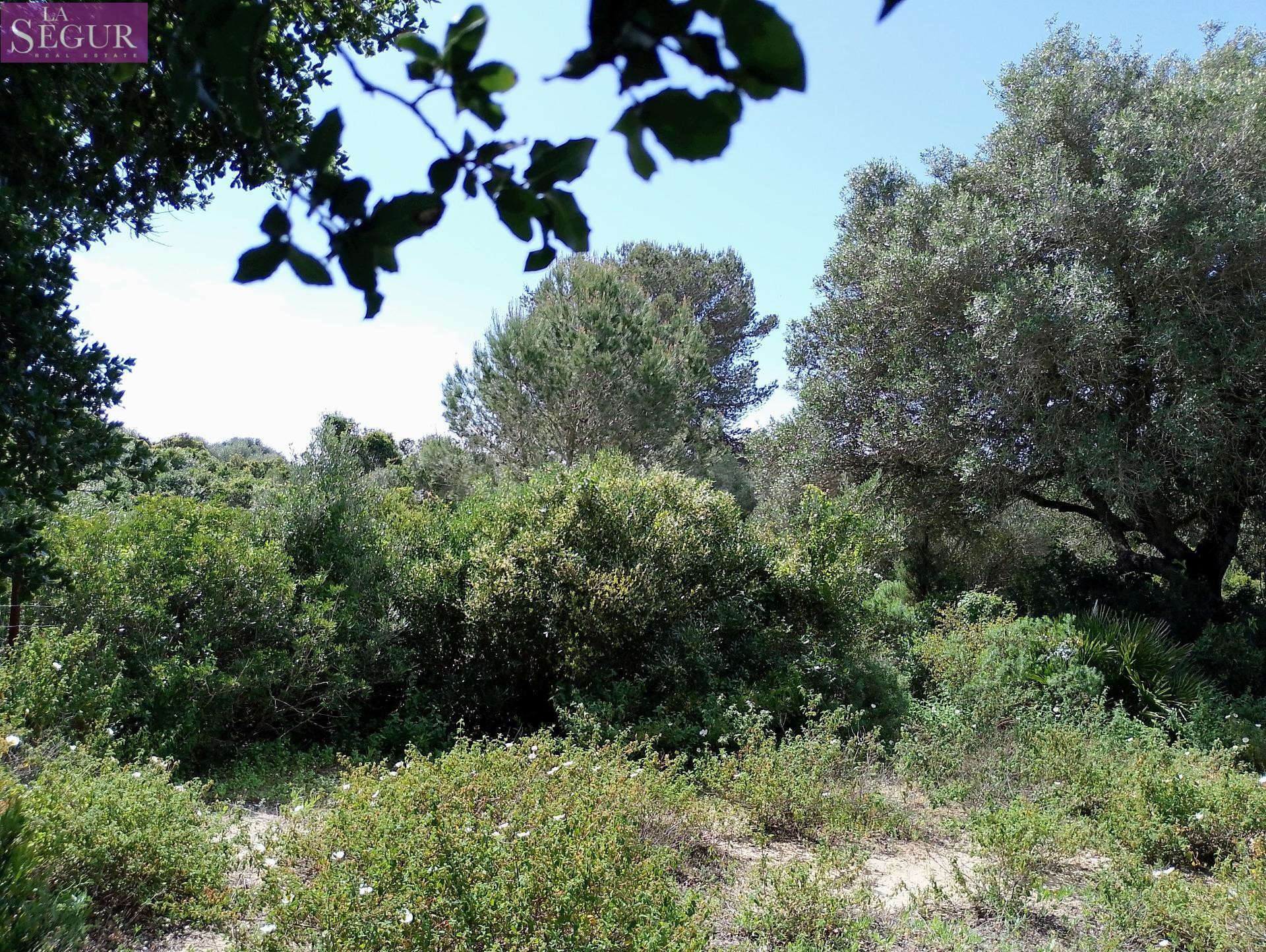 PARCELA EN VENTA EN ZAHORA - foto 4