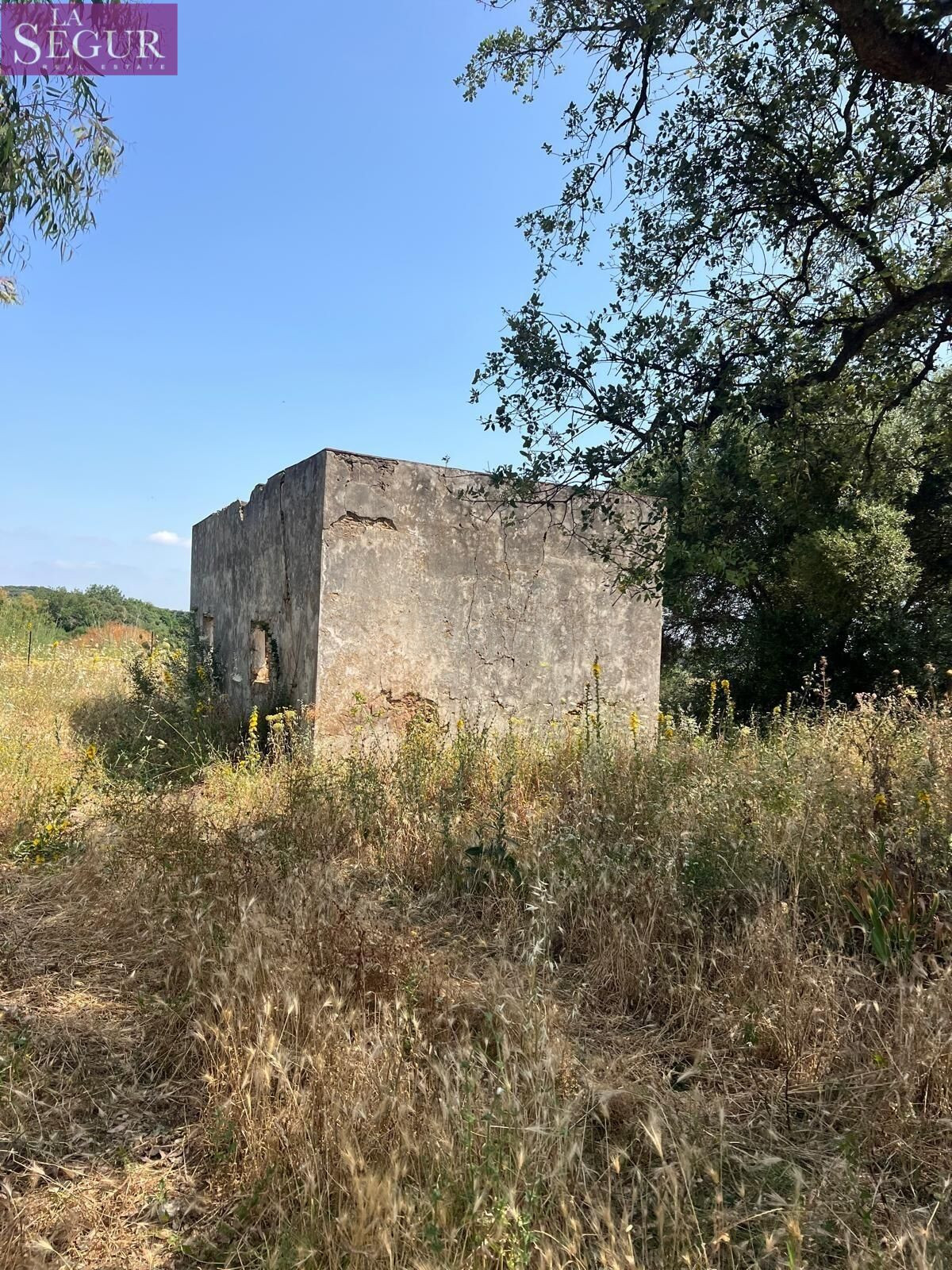 TERRENO CON CASITA PARA REFORMAR EN LA PARTE BAJA DE ABEJARU - foto 2