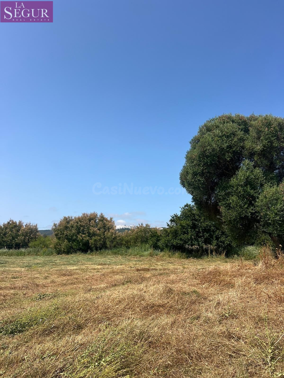 TERRENO CON CASITA PARA REFORMAR EN LA PARTE BAJA DE ABEJARU - foto 3