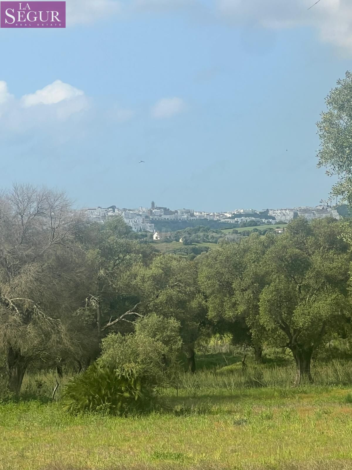 BONITA FINCA DE RECREO CERCANA A VEJER DE LA FRONTERA. - foto 2