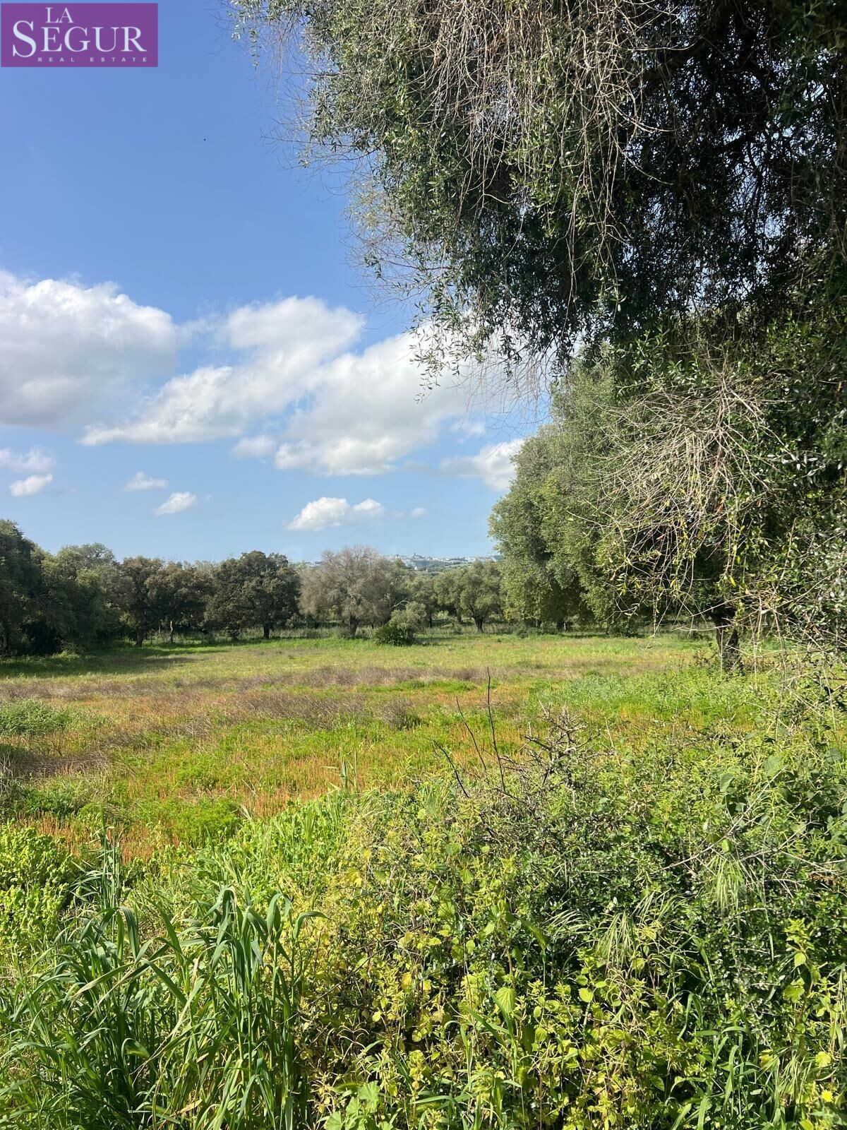 BONITA FINCA DE RECREO CERCANA A VEJER DE LA FRONTERA. - foto 4