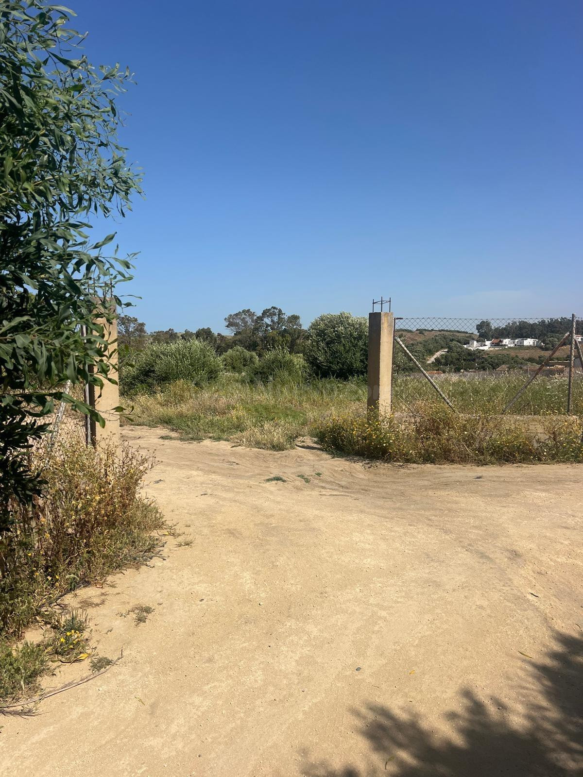 Parcela - foto 4