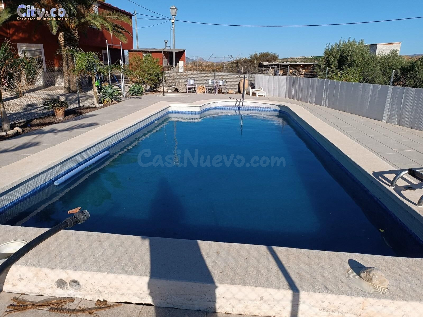 Finca Rustica con casa en Molina de Segura, Zona de La Albar - foto 2