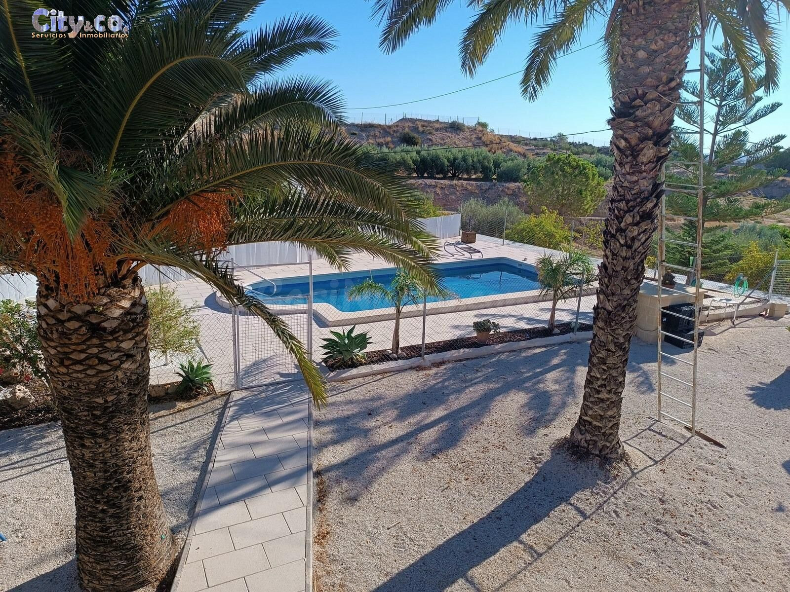 Finca Rustica con casa en Molina de Segura, Zona de La Albar - foto 3