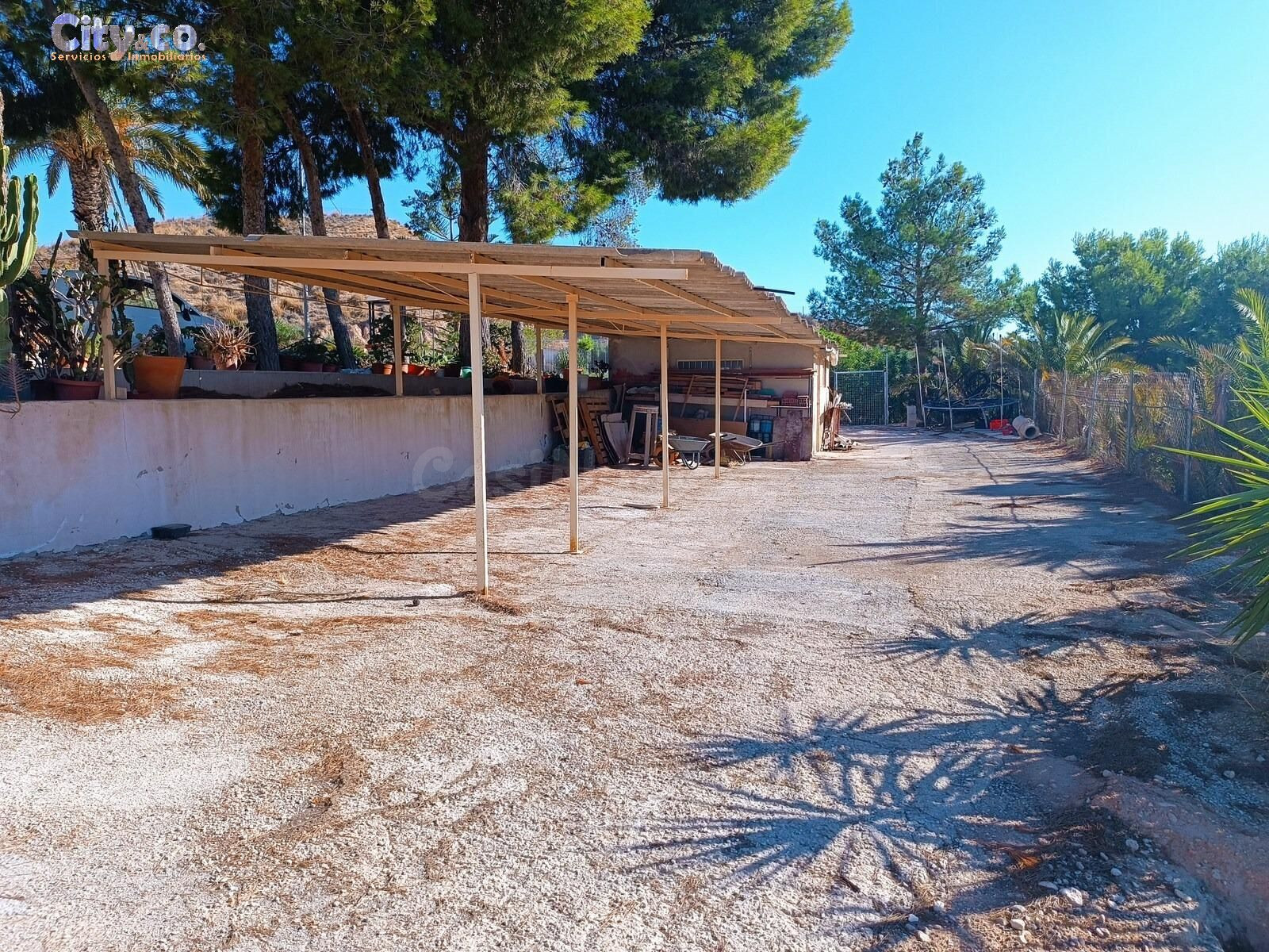 Finca Rustica con casa en Molina de Segura, Zona de La Albar - foto 4