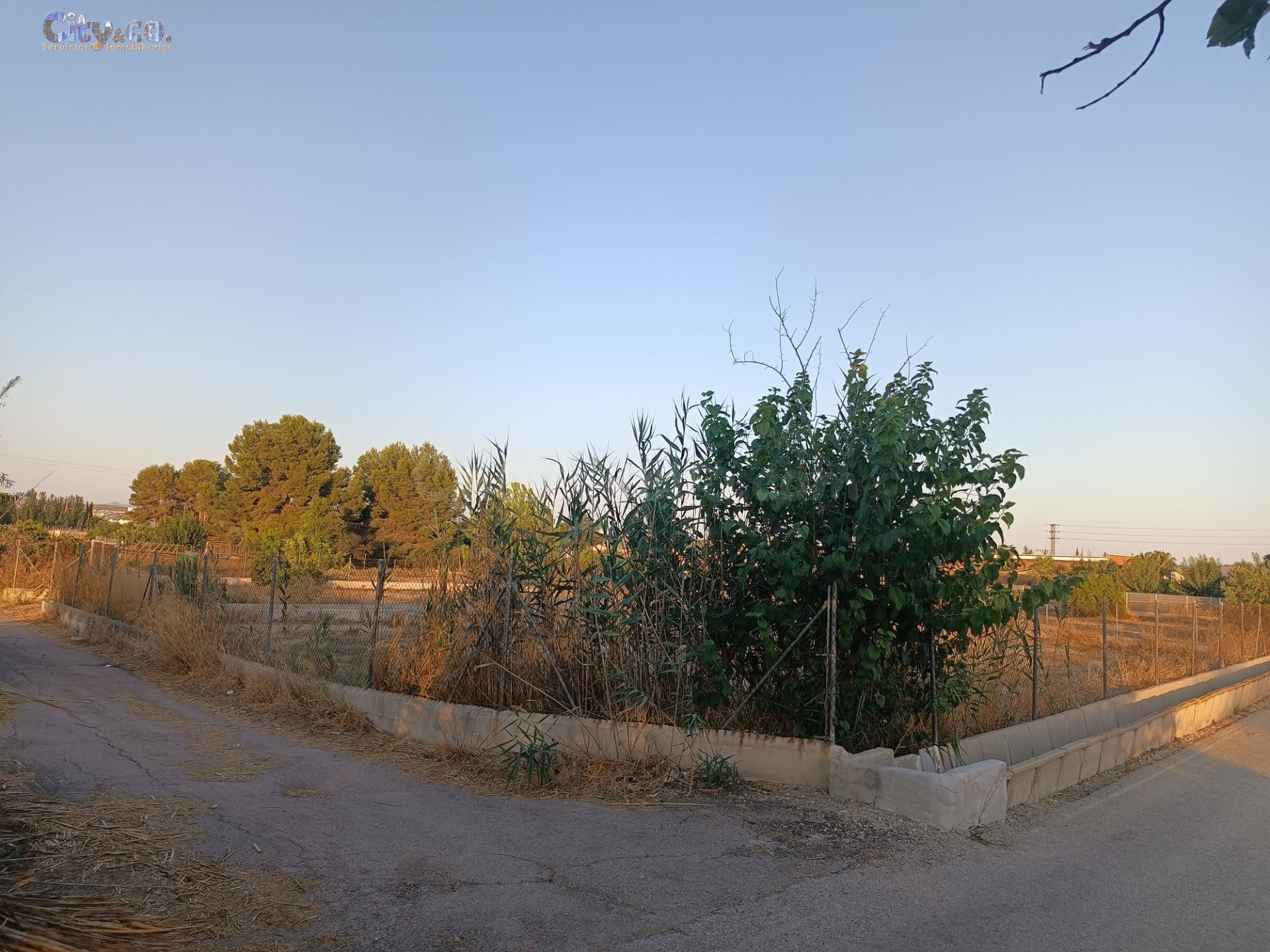 Parcela Rustica en Las Torres de Cotillas, Zona de la Media  - foto 2