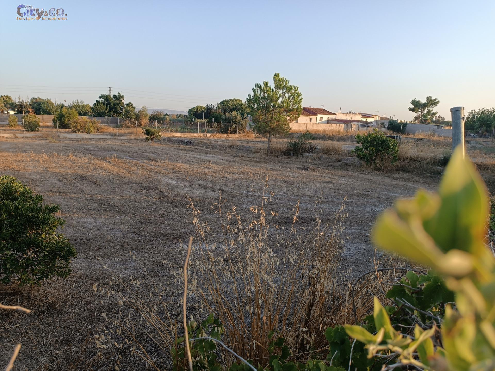 Parcela Rustica en Las Torres de Cotillas, Zona de la Media  - foto 3