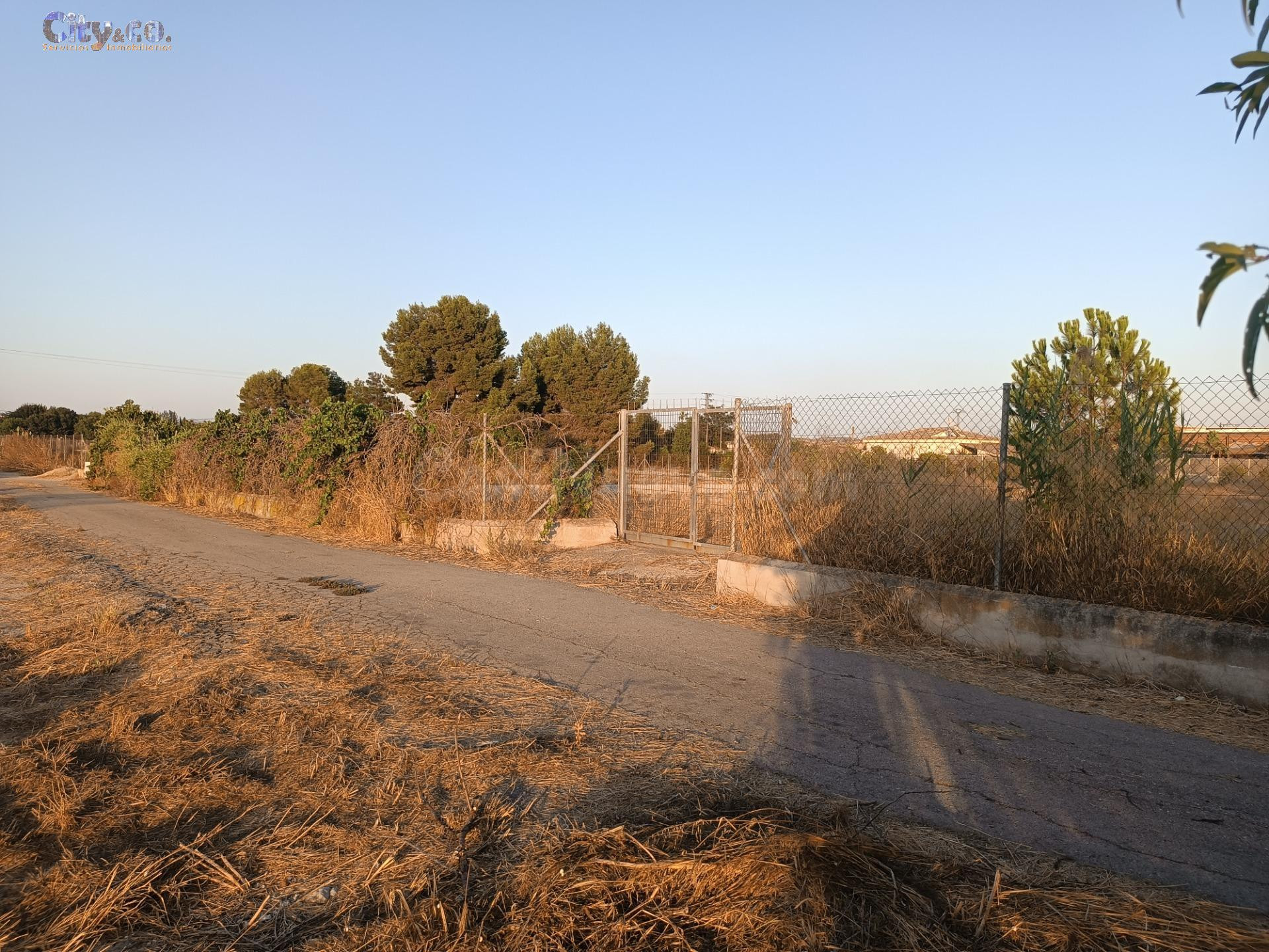 Parcela Rustica en Las Torres de Cotillas, Zona de la Media  - foto 4