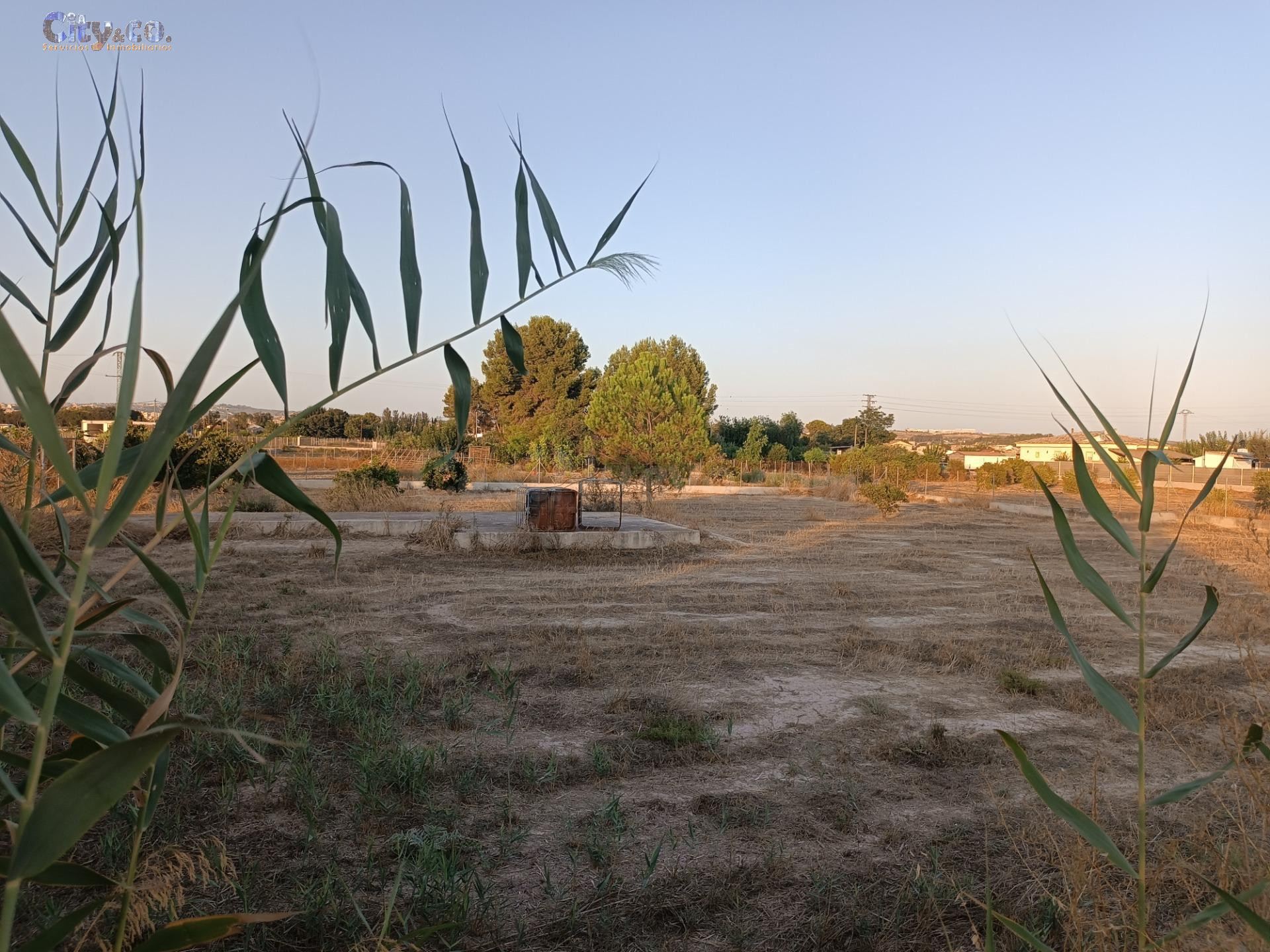 Parcela Rustica en Las Torres de Cotillas, Zona de la Media  - foto 5