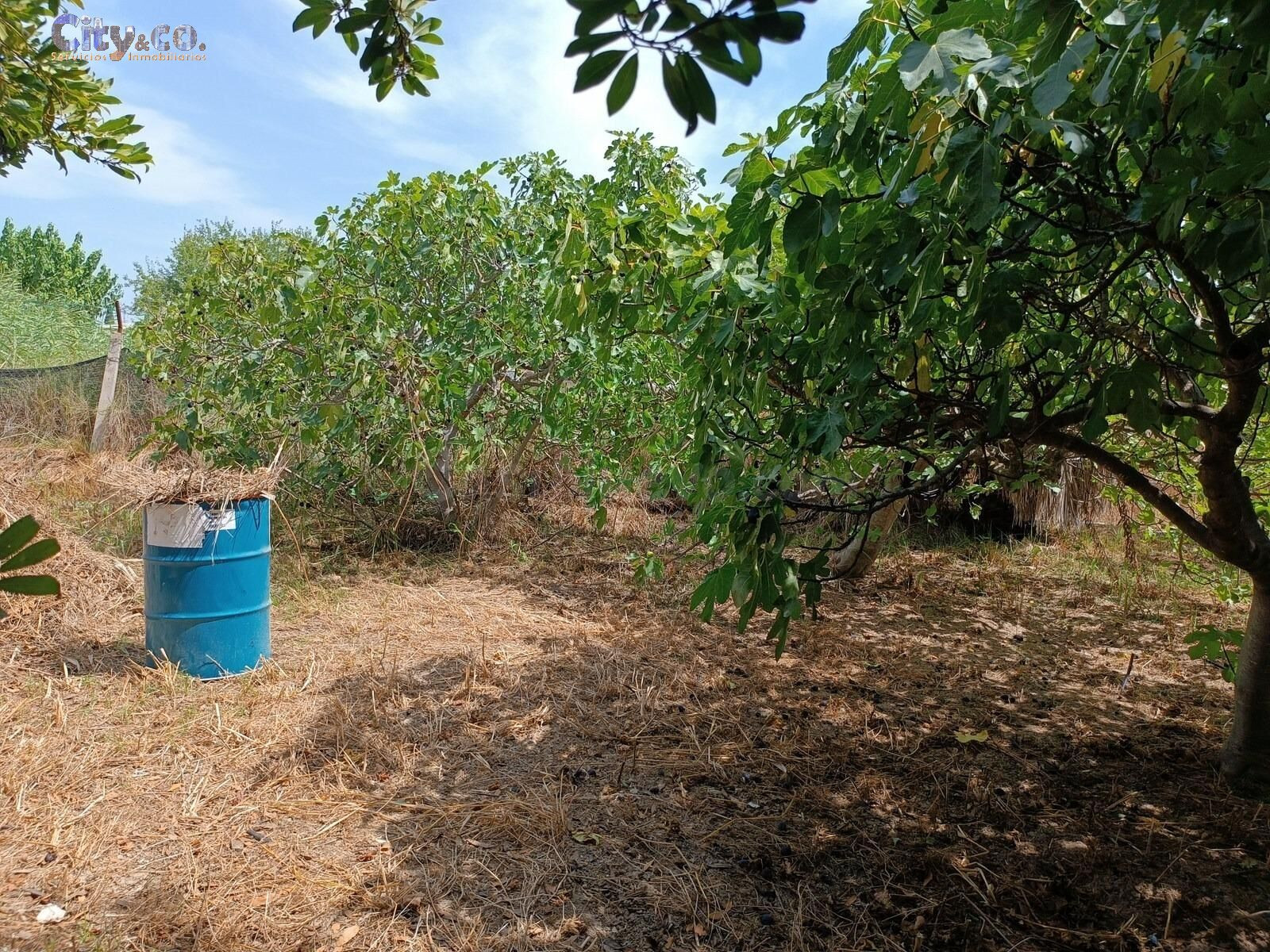 Parcela en Molina de Segura, Zona Huerta de Abajo - foto 3