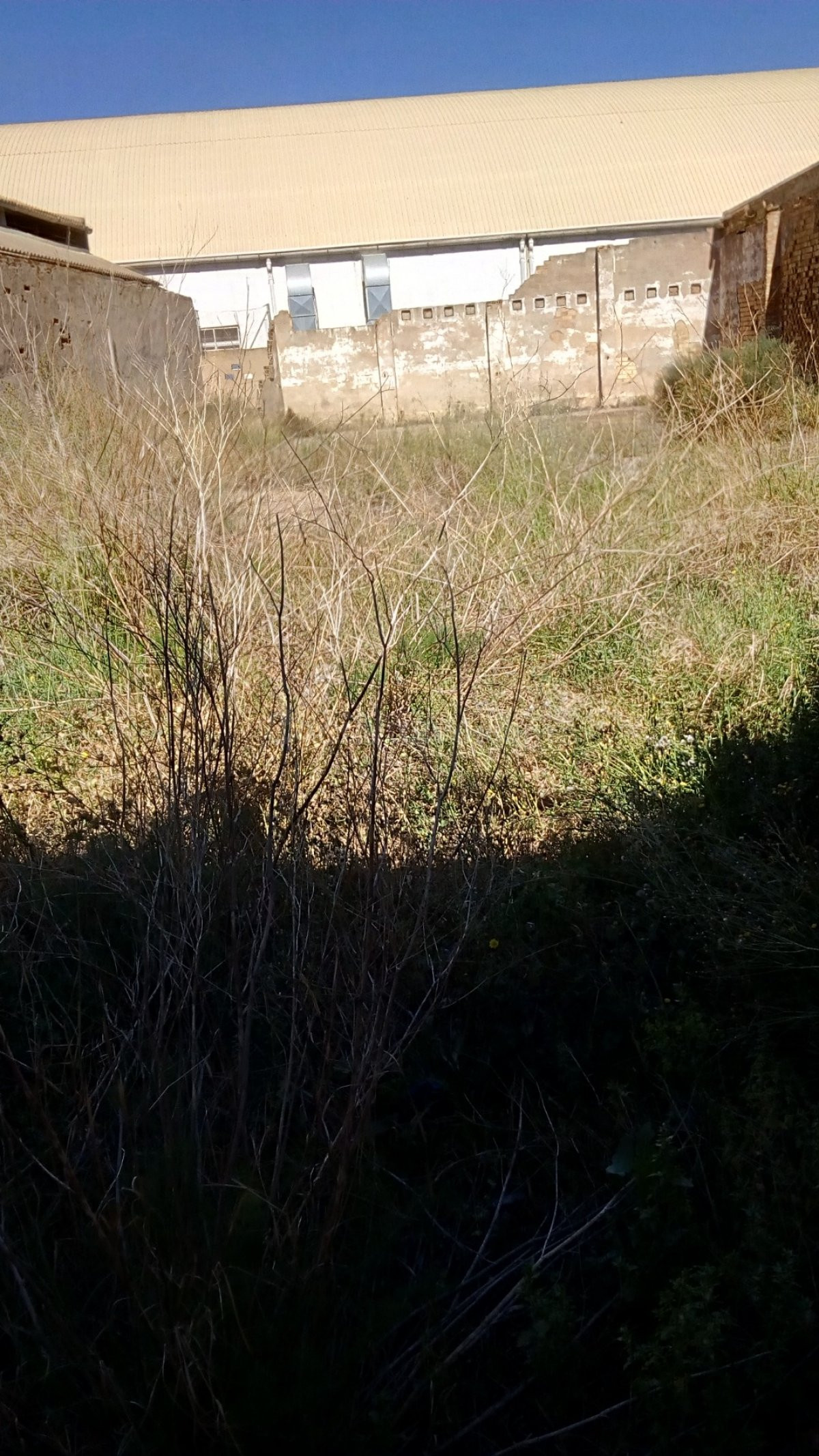 Parcela en venta - Norte - foto 2