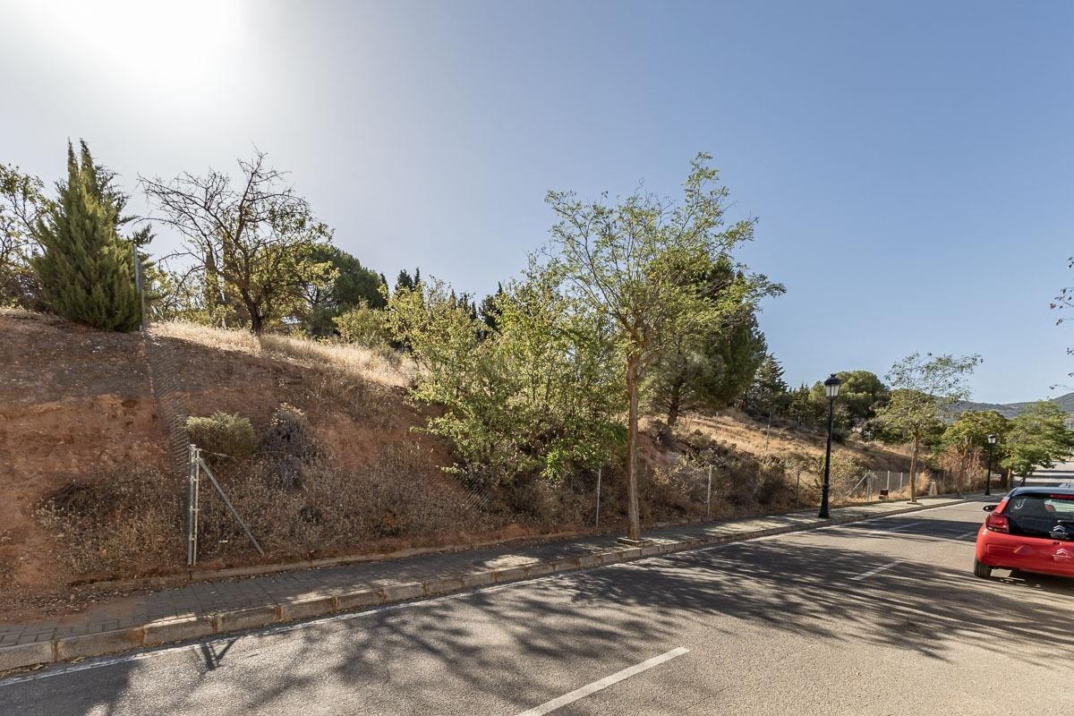 PARCELA 610 M2 EN CORTIJO DE LA LUZ, OTURA. - foto 3