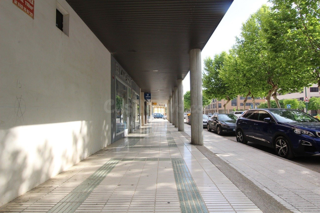 VENTA O ALQUILER LOCAL EN PASEO DE LA CONSTITUCIÓN - foto 2