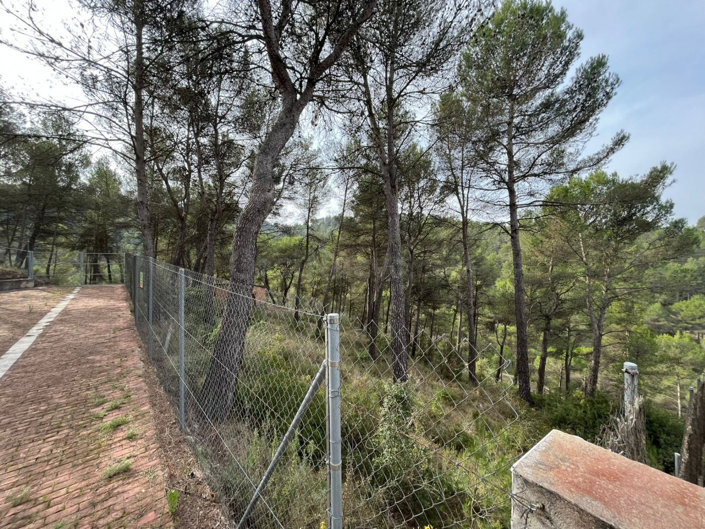 SOLAR A CASTELLOLÍ, URB. ELS PINYARETS - foto 4