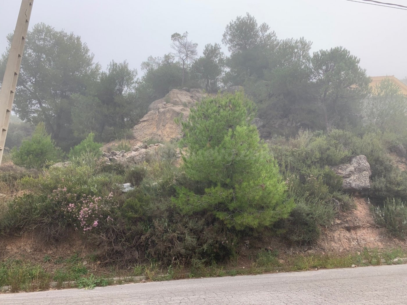 Solar en venta - LES GARRIGUES