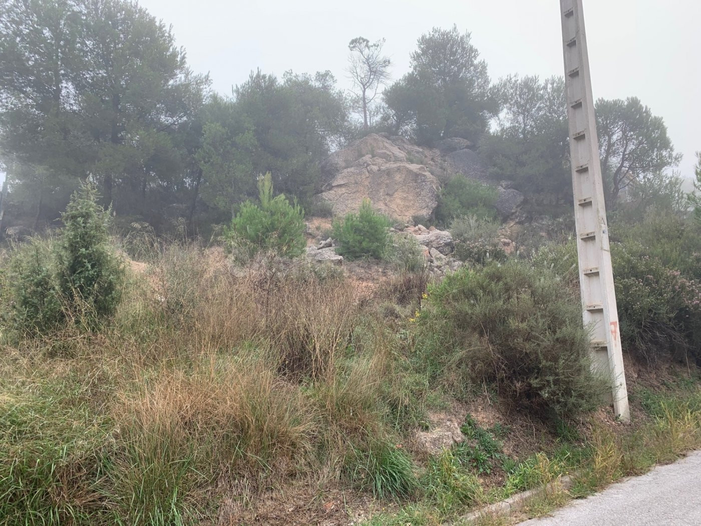 Solar en venta - LES GARRIGUES - foto 2