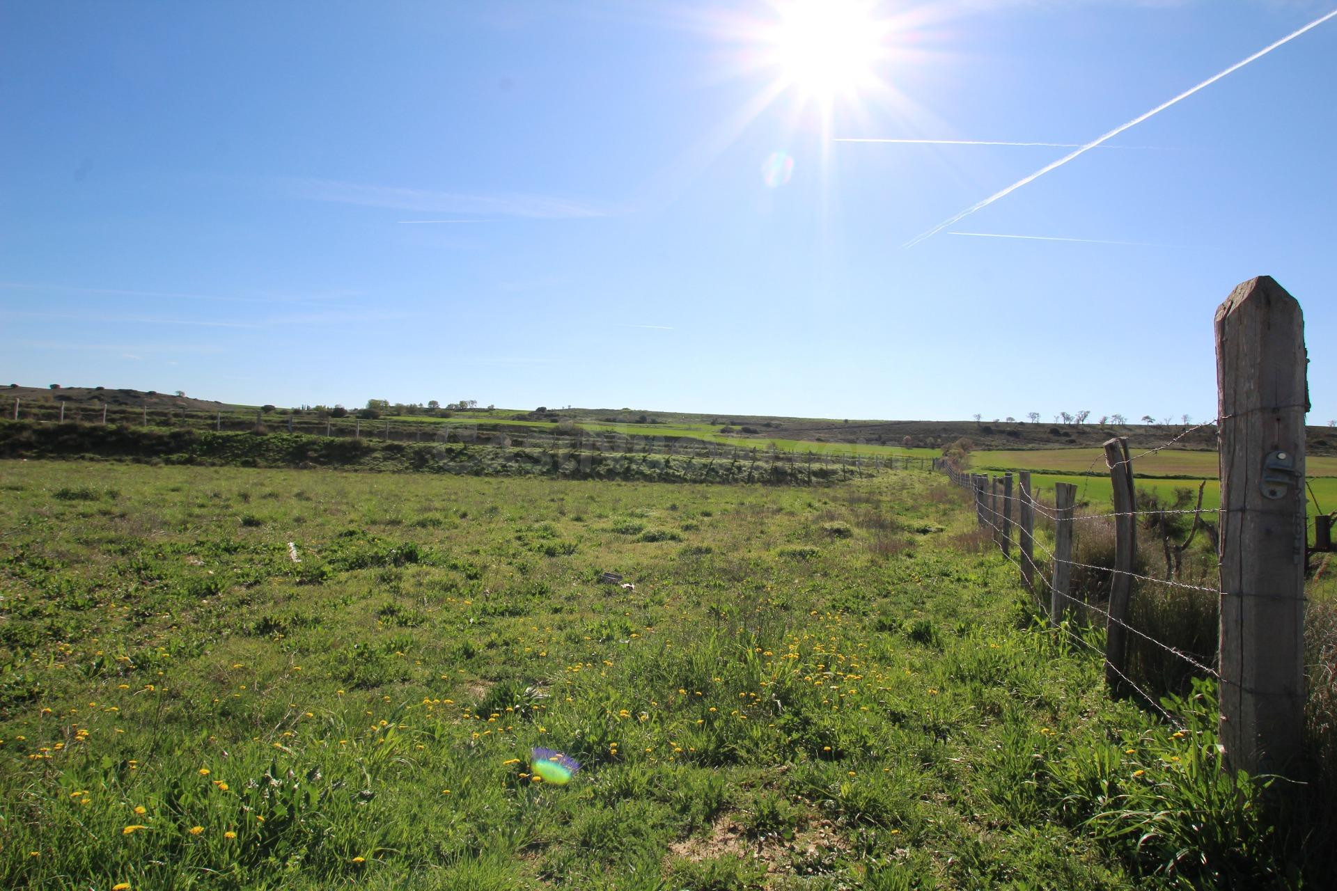 Terreno rural en venta - Aragon - foto 5
