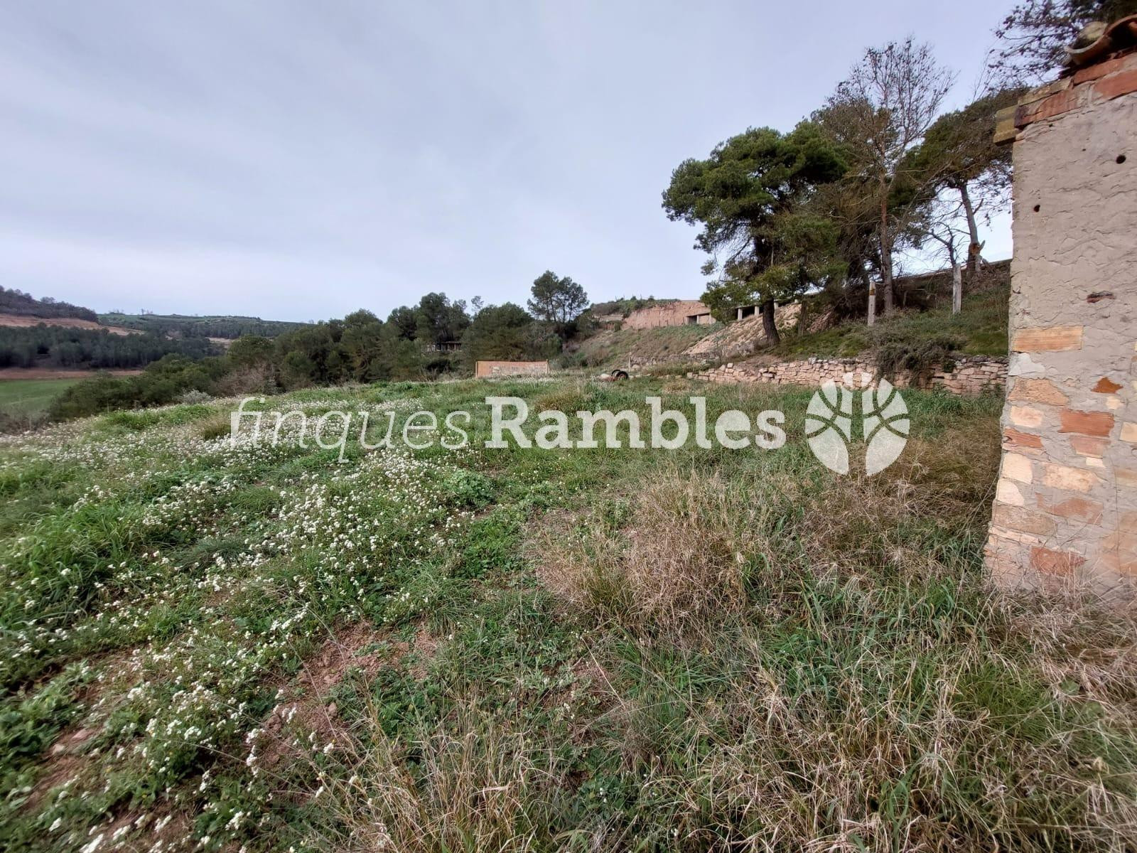 ¡Descobreix el teu refugi a la natura! - foto 3