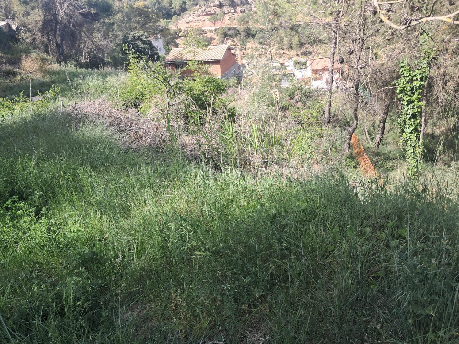 EL TEU SOLAR, ELS TEUS METRES I LA TEVA ZONA. SOLAR EN VENTA - foto 2