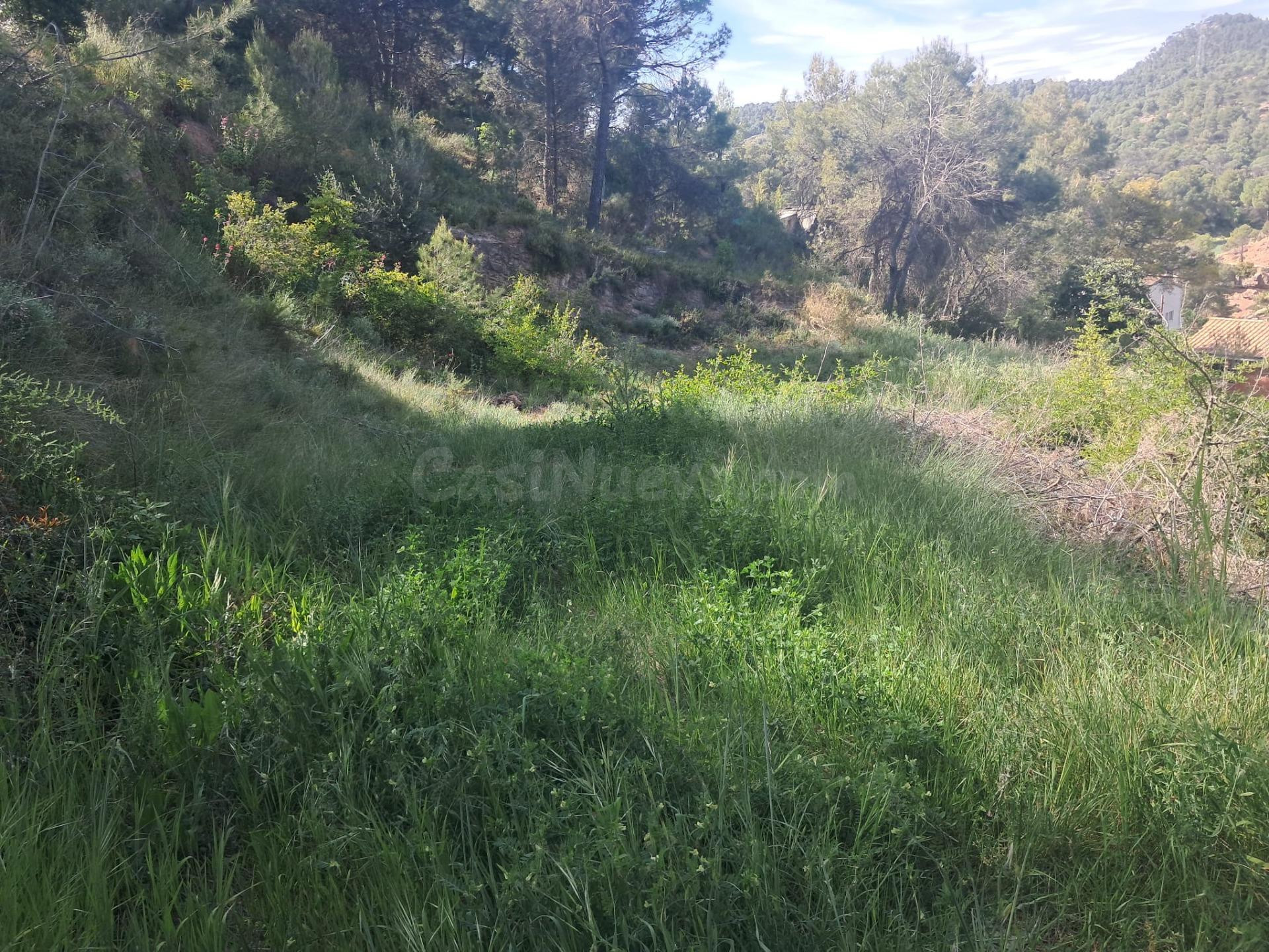 EL TEU SOLAR, ELS TEUS METRES, LA TEVA ZONA A LA POBLA DE CL