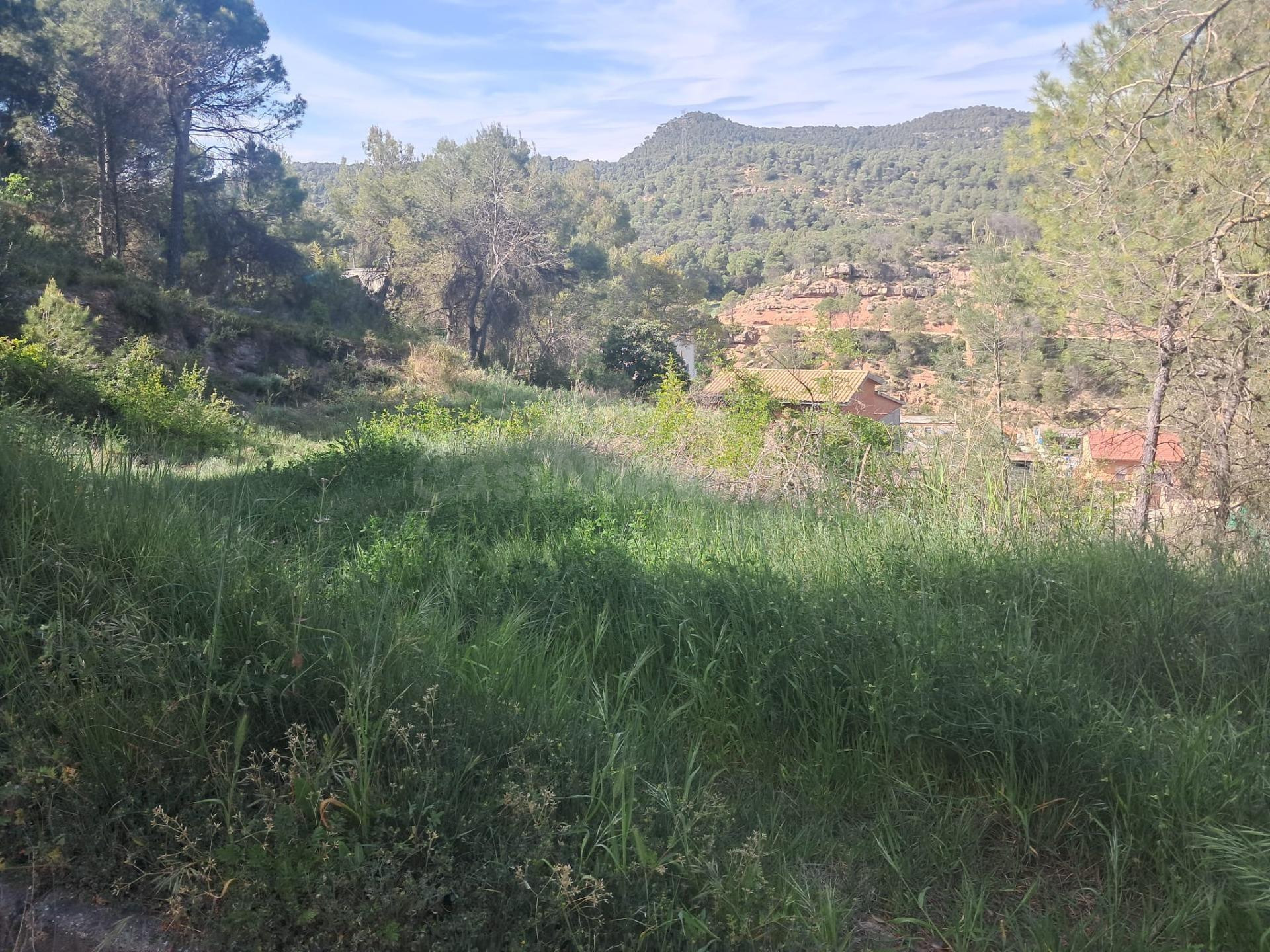 EL TEU SOLAR, ELS TEUS METRES, LA TEVA ZONA A LA POBLA DE CL - foto 3