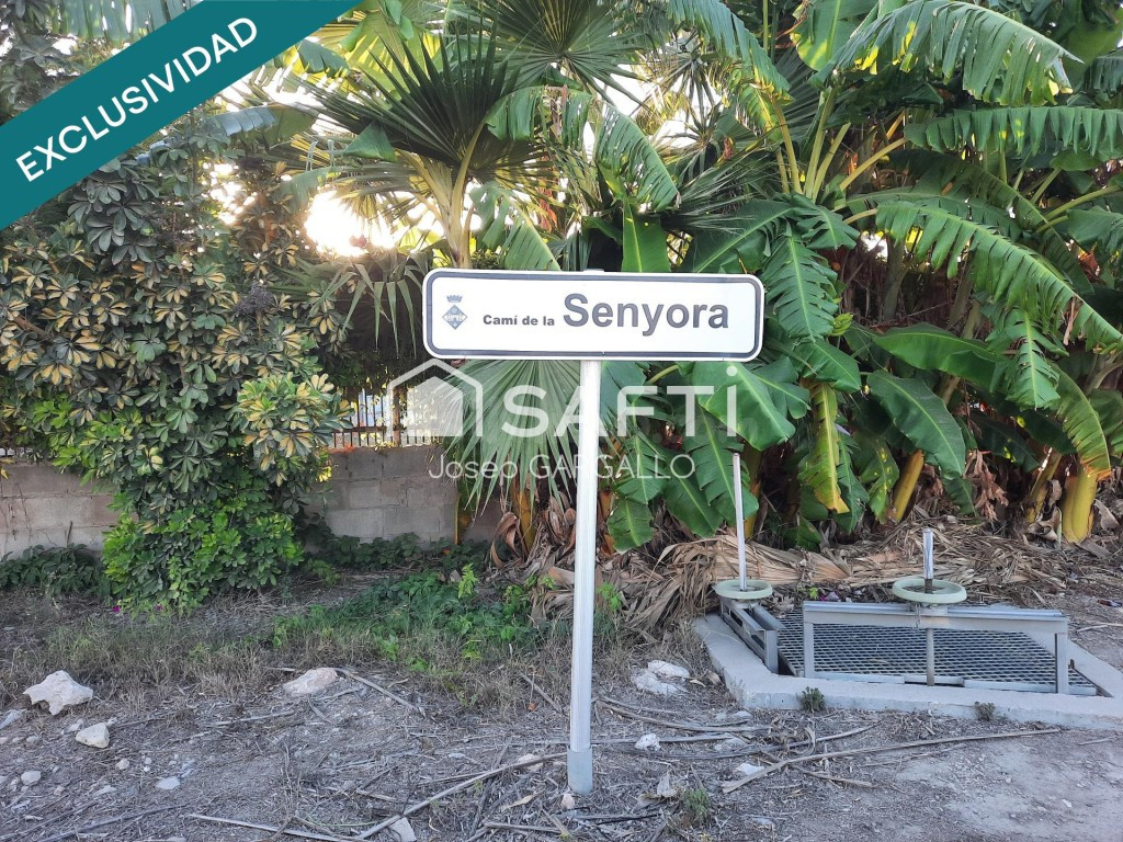 Arrozal de 9.411 m² en Amposta, Partida Senyora